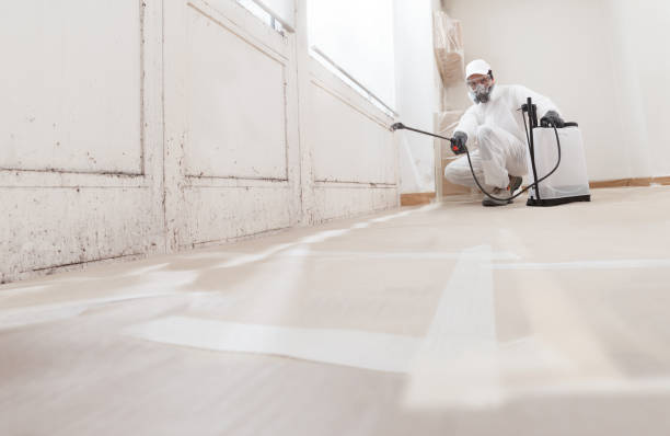 24/7 Emergency Black Mold Remediation experts in Fort Worth, TX