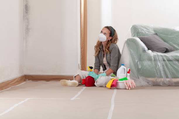 Reliable Black Mold Remediation contractor in Fort Worth, TX by Mold Remediation HQ